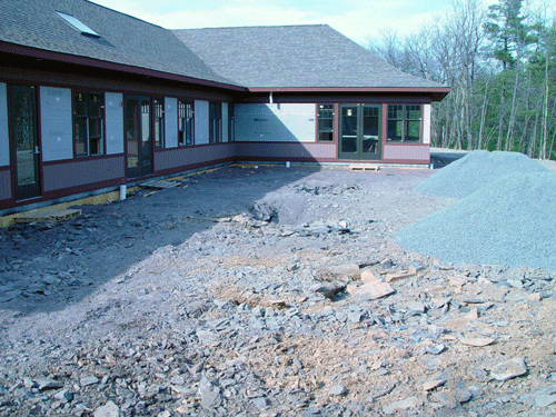 Terrace and Tree Holes